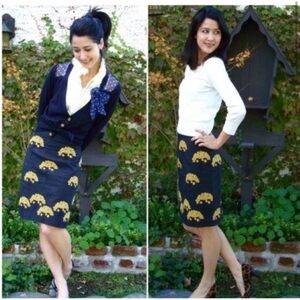 Anthropologie Floreat fennel embroidered skirt size 4